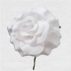 FLAMENCO FLOWER