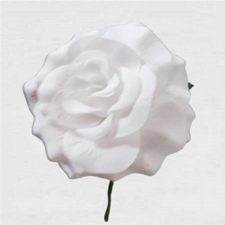 FLOR FLAMENCA