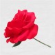 FLOR FLAMENCA