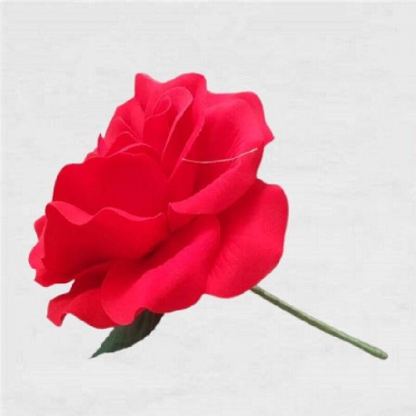 FLOR FLAMENCA