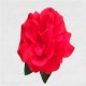 FLOR FLAMENCA