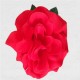 FLOR FLAMENCA