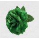 FLAMENCO FLOWER