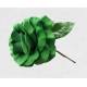 FLAMENCO FLOWER
