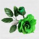 FLAMENCO FLOWER