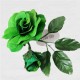 FLAMENCO FLOWER