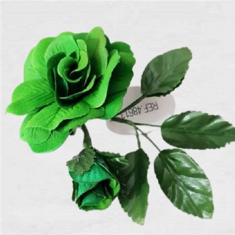 FLAMENCO FLOWER