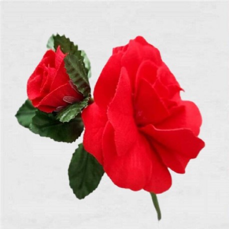 FLOR FLAMENCA