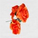 FLAMENCO FLOWER