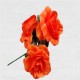 FLAMENCO FLOWER