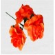 FLAMENCO FLOWER
