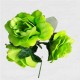 FLAMENCO FLOWER