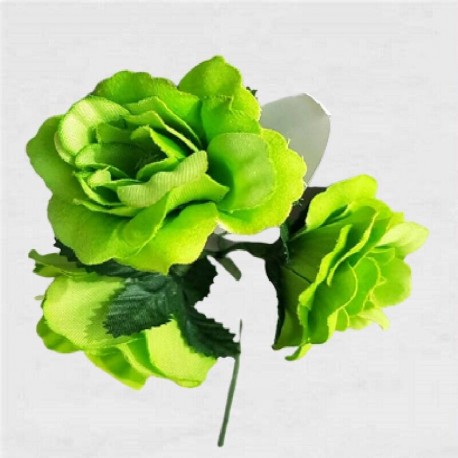 FLAMENCO FLOWER
