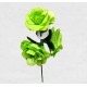 FLAMENCO FLOWER