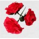FLAMENCO FLOWER