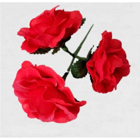 FLAMENCO FLOWER