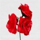 FLAMENCO FLOWER